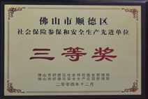 迪多-社會保險參保和安全生產(chǎn)先進(jìn)單位